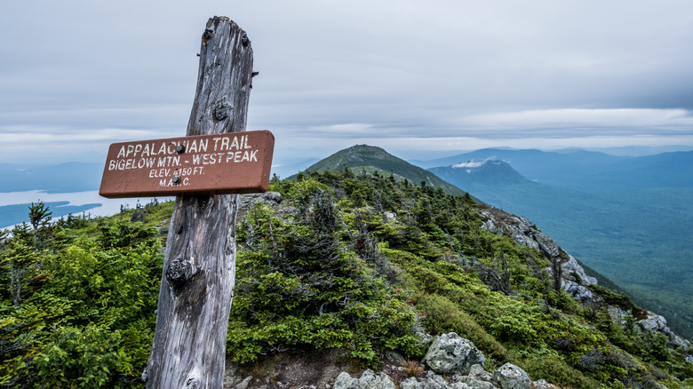 Appalachian Trail sign at high elevation with mountain views