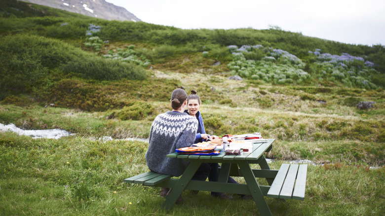 Couple picnicking in rural Iceland