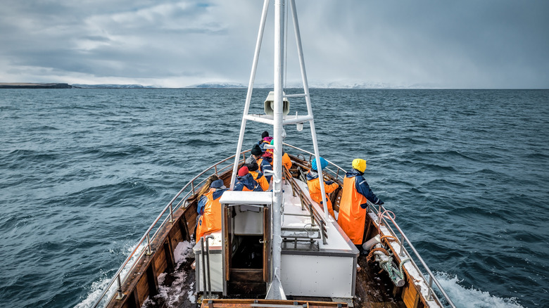 Icelandic fishermen at sea