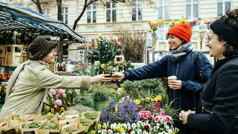 Women buying flowers in a market