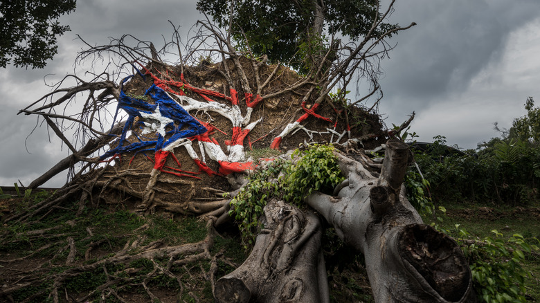 puerto rico hurricane scene