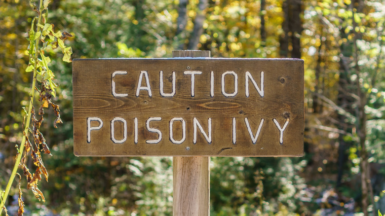 Poison ivy warning sign