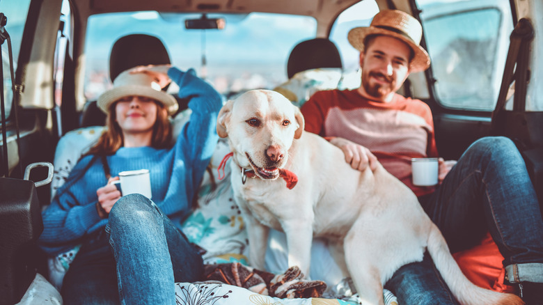 A family camping with a dog 