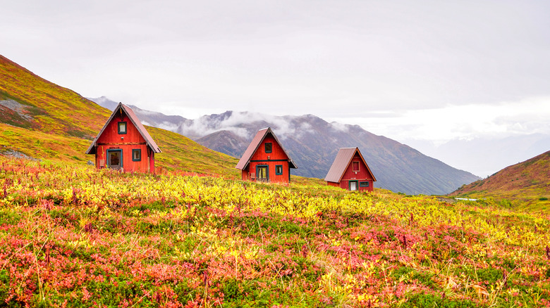 three red cabins and wildflowers
