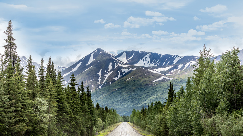 railroad through the forest and mountains