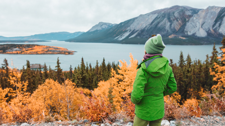 woman looking at fall foliage