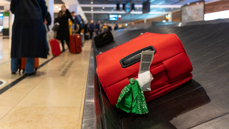 bright luggage with green bandana