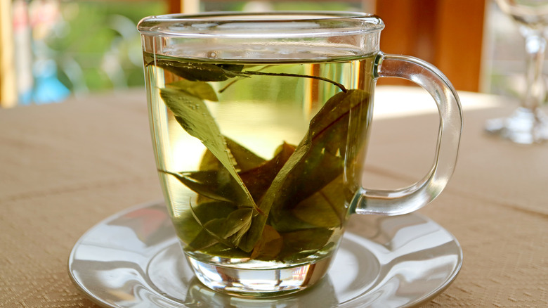 cup of hot coca leaf tea