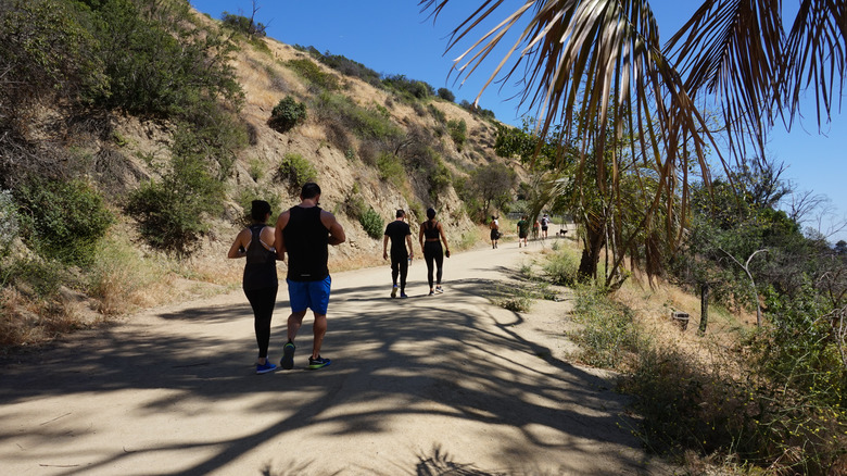 People hiking on trail to Hollywood Sign