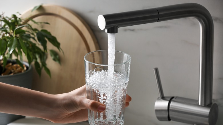 person filling water from tap
