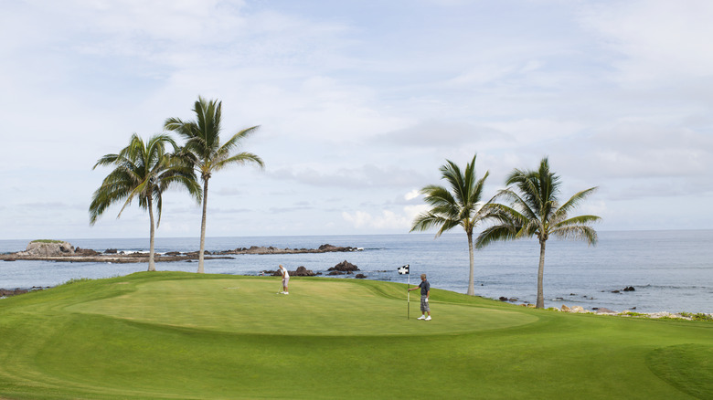A tropical golf course 