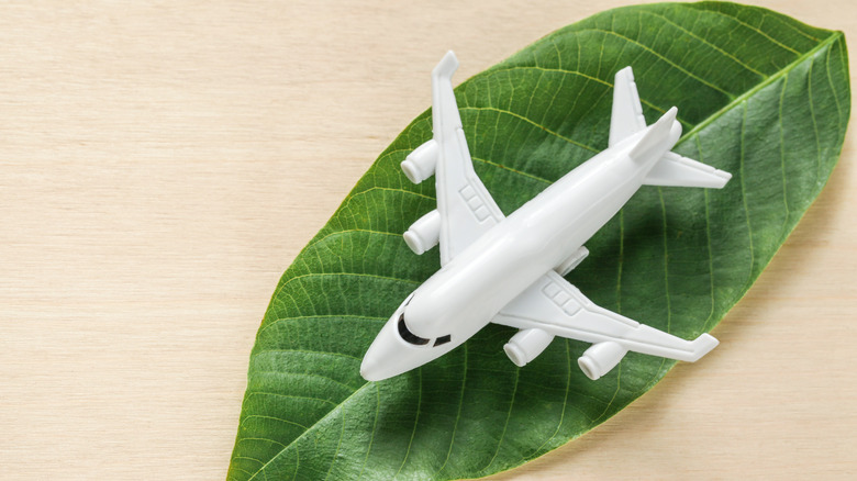 miniature airplane on leaf
