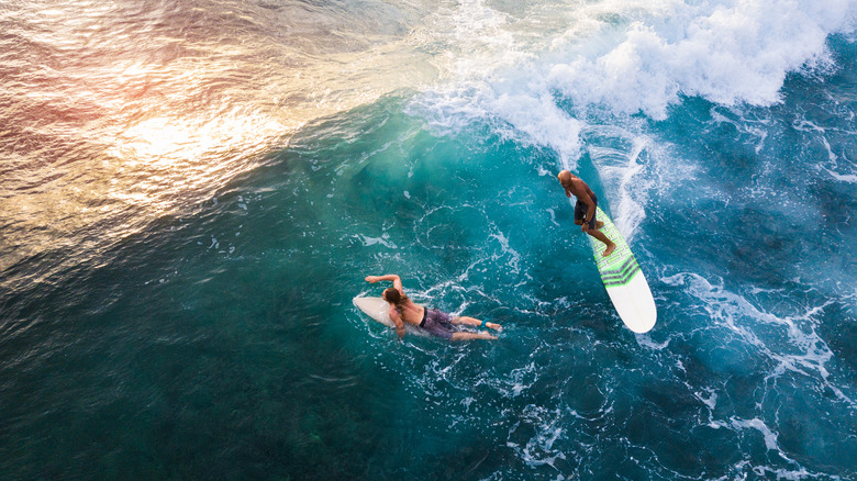 Surfers in Hawai
