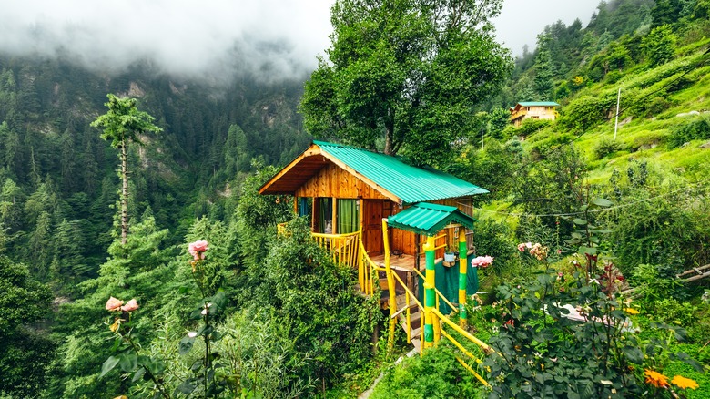 Treehouse in the rain forest