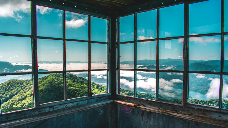 A beautiful view through windows of a fire lookout