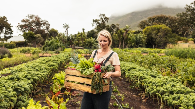 Woman working on a farm