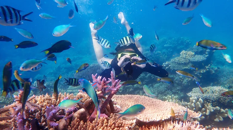 Snorkeling Tips: Protecting Coral and Wildlife