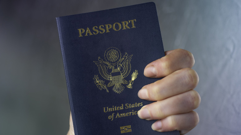 person holding an American passport