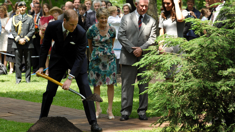 Prince William planting a tree in Ottawa