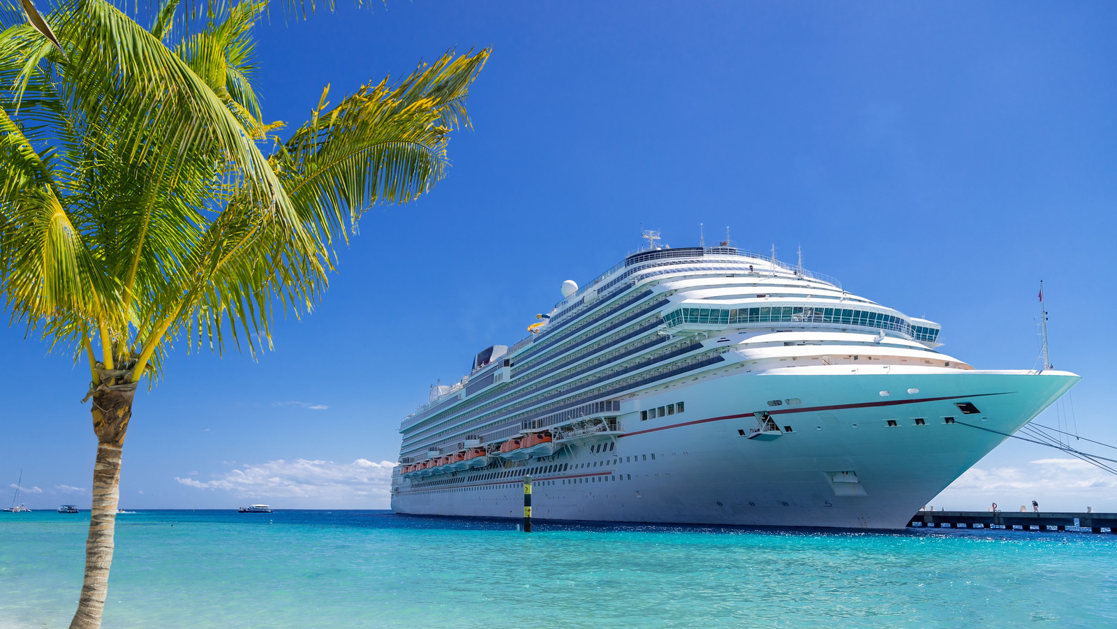 how-to-use-price-comparison-sites-to-book-your-cruise