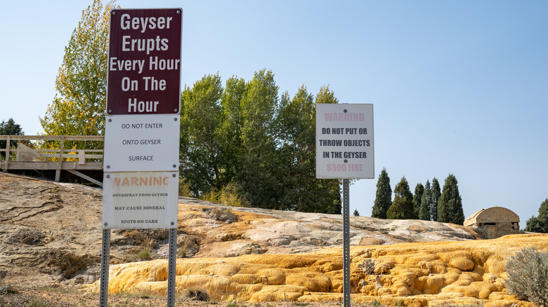 The geyser at Geyser Park in Soda Springs, Idaho