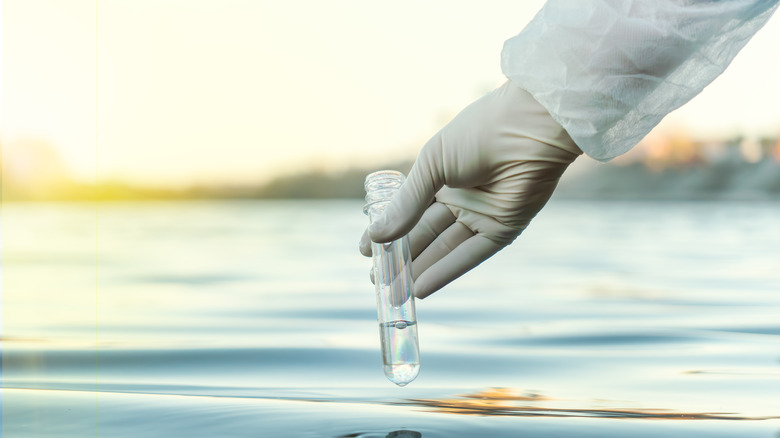 Researcher collecting water sample