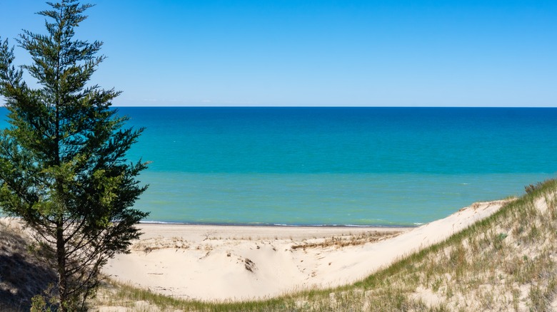 Indiana Dunes Beach