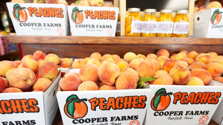 Peaches at Cooper Farms