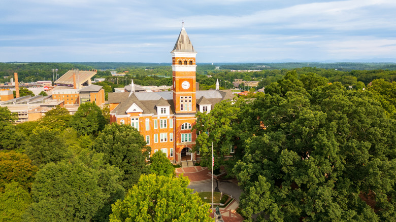 trees and clock tower