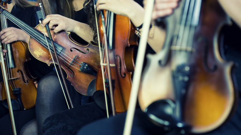 closeup violins and bows musicians
