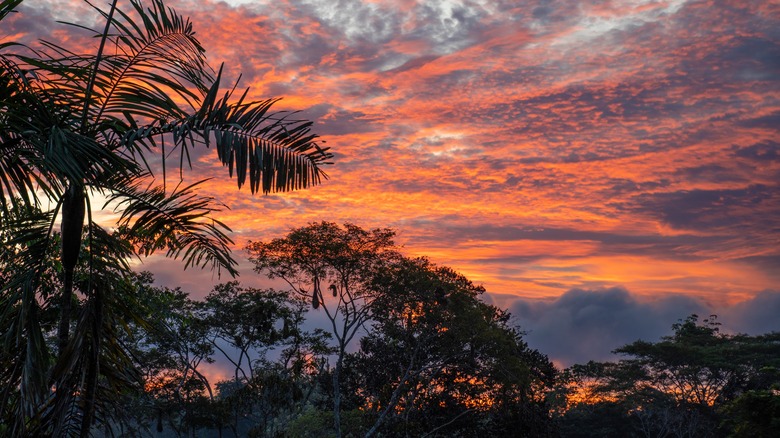 sunset over Amacayacu park jungle