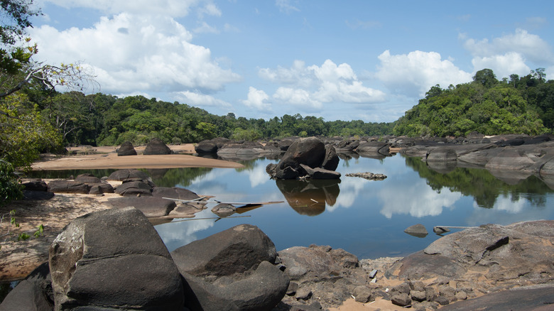 Central Suriname Reserve river