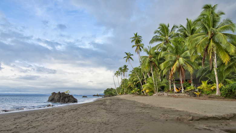 The coast of Utría park