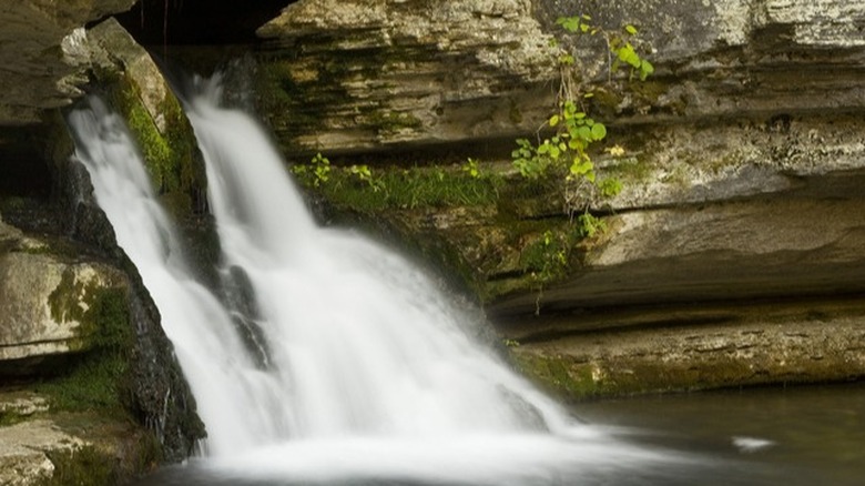 Blanchard Springs Cavern