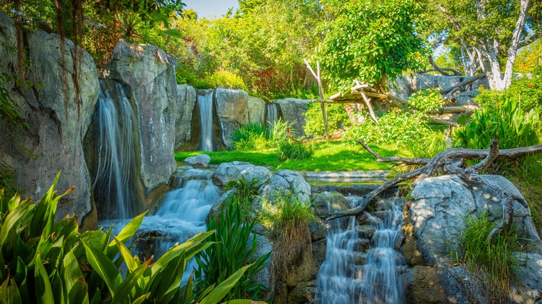 Waterfall at San Diego Zoo