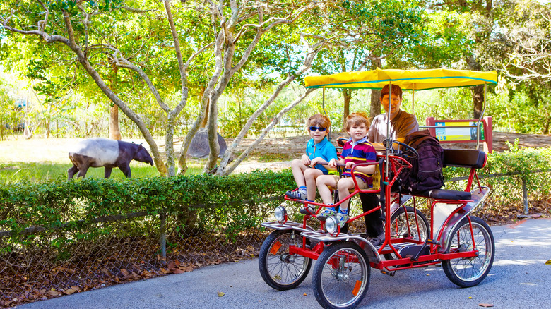 Family on a Safari Cycle