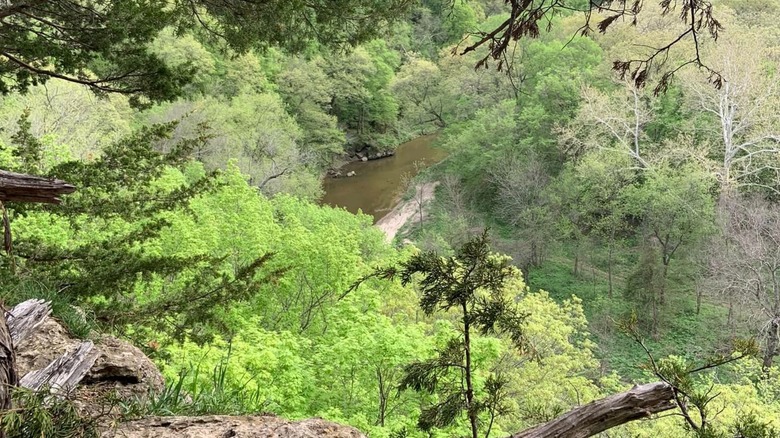 View of river through forest from top of canyon