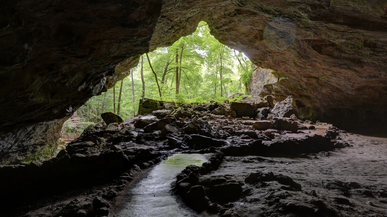 Dancehall Cave at Iowa's Maquoketa Caves State Park