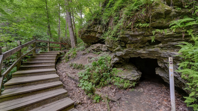 Entrance to Window Cave at Maquoketa Caves State Park, Iowa