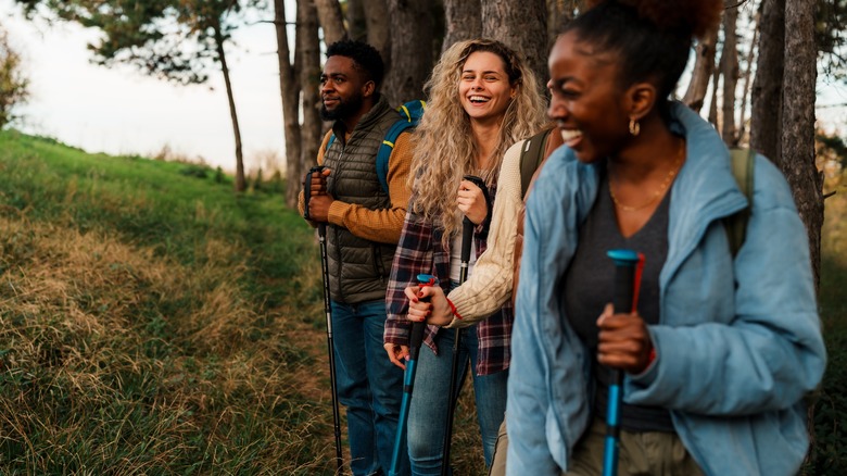 Group of hikers in a forest