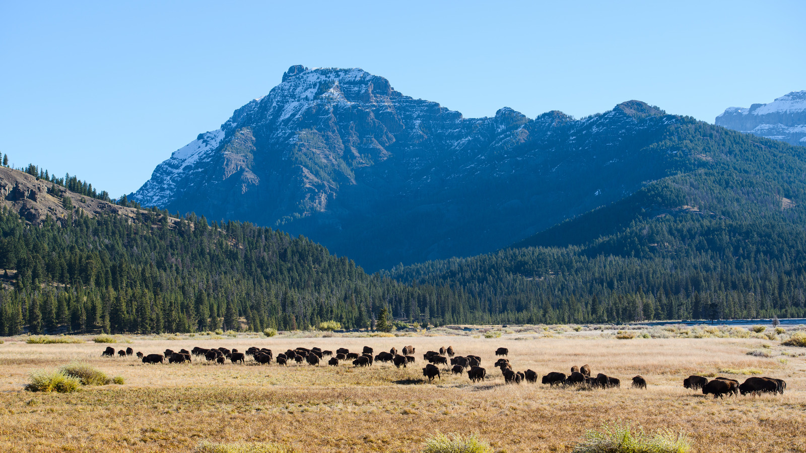 It's No Wonder Yellowstone National Park Is On Everyone's Camping