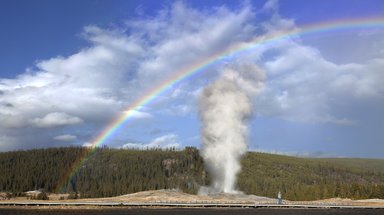 old faithful geyser and rainbow