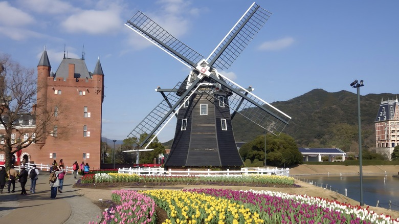 Windmill tulips Huis Ten Bosch park