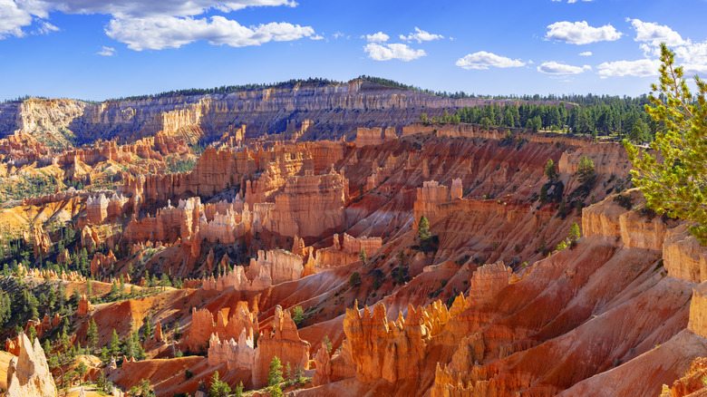 a view of the hoodoos at bryce canyon national park