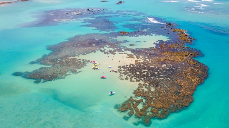 Maragogi beach coral reefs in Brazil