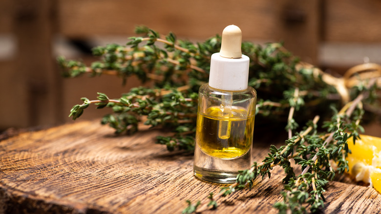 Thyme and essential oil