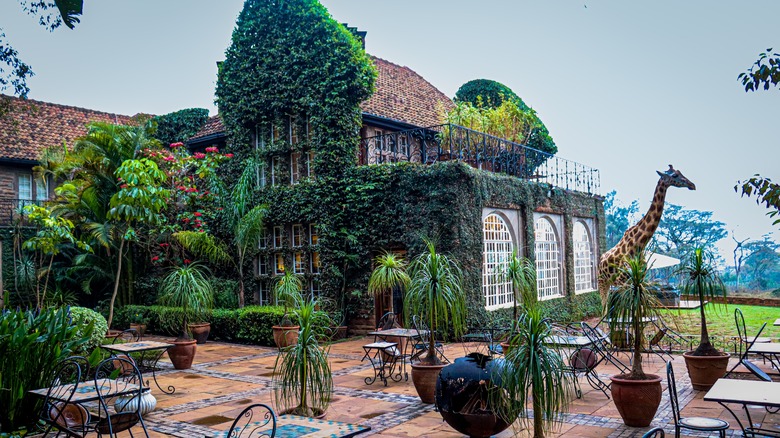 The brick Giraffe Manor covered in foliage with giraffe sculpture.