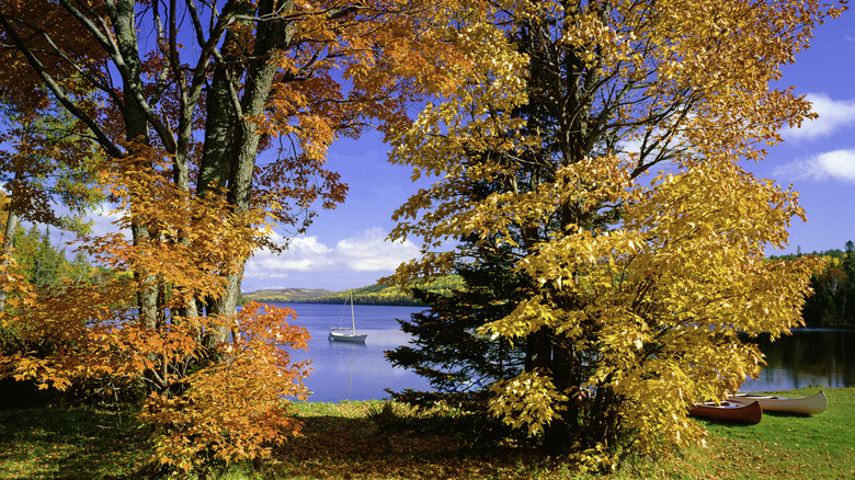 Fall foliage view of lake with boat