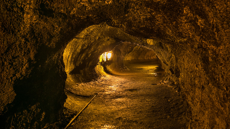 Nāhuku lava tube on the Big Island