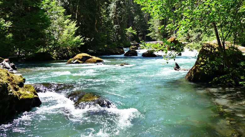 Blue-green waters of Duckabush River